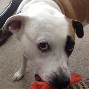 Meet your Posher, Wayne